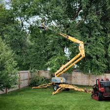 Best Fruit Tree Pruning  in Sparta, IL