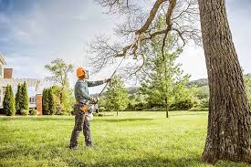Best Seasonal Cleanup (Spring/Fall)  in Sparta, IL