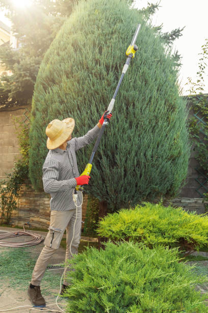 Best Soil Testing and Treatment  in Sparta, IL